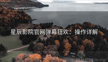 星辰影院官网弹幕狂欢：操作详解