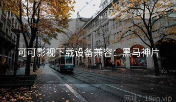 可可影视下载设备兼容：黑马神片