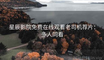星辰影院免费在线观看老司机荐片：多人同看