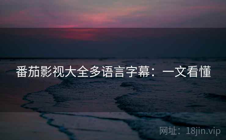 番茄影视大全多语言字幕：一文看懂