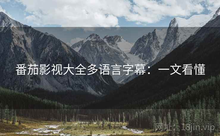 番茄影视大全多语言字幕：一文看懂