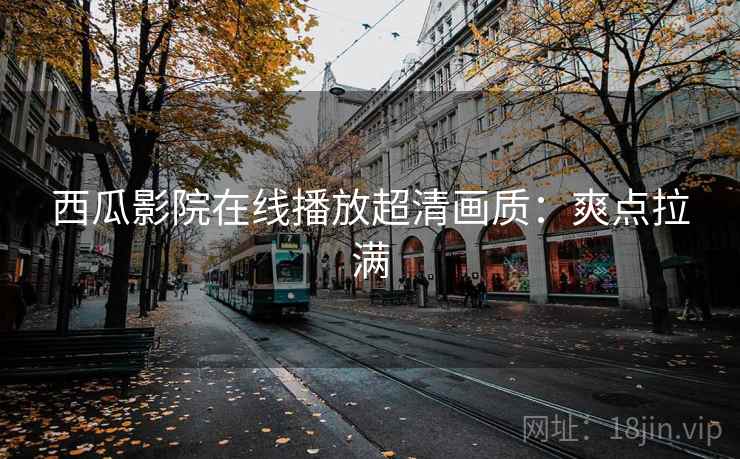 西瓜影院在线播放超清画质：爽点拉满